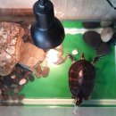 가온 동물병원 이미지