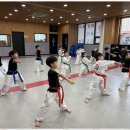 백석 더 혼 태권도 이미지