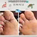 엘로이즈에스테틱