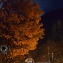 중동면보건지소 이미지