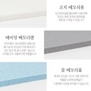 루루 반려견 이미지