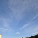 이마트24 독산우시장점 | 25년 11월 3주차_크리스마스 즐기기 실패