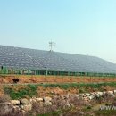 매화정태양광발전소 이미지