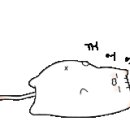 맘마수제간식 이미지