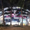 마이미스튜디오
