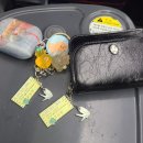 중앙로9길 | 대전 1박2일 여행 코스 정리 : 빵의 도시 대전역 중앙로역 가볼만한곳 맛집 빵집 와다다🥐