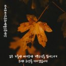 낭만주먹 | 영화관람후기 [보스] 낭만주먹과 의리? 그리고 이성민의 역의 실제인물은....???