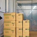 봉산보건지소 이미지