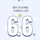(주) 지바