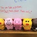 개성농장 이미지