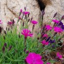 두원마을 이미지