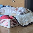 중마동물병원 이미지