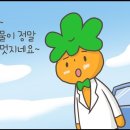 닥터폰트 이미지
