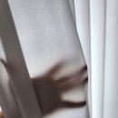 더스타리움 | 인천커튼 부천커튼 상봉 스타팰리스 일등 커텐 블라인드 시공 후기