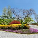 순천만국가정원 이미지