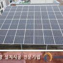 천안버섯물류