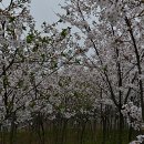 번암보건지소 이미지