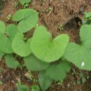 서석농장 이미지