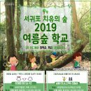 아주 특별한 여름밤 이미지