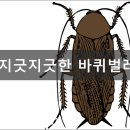 바퀴벌레,개미 약 만드는 방법 이미지