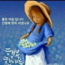 한주 Daum카페
