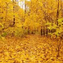 오나요? 성신의 정확한 역할은 무엇인가요? 성신과 성령은 어떻게 다른가요? What is the Holy Ghost like?