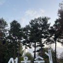 오스테리아 파로 | 기념일에 방문하기 좋은 뚝섬 서울숲 맛집 오스테리아 파로