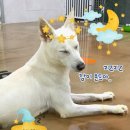 잠꾸러기 - 파주시 가재울로93번길 25-9 | 잠꾸러기