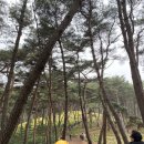 저산목장 네이버블로그