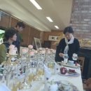 다도 숲으로 민박 이미지