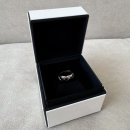 코코 | 샤넬 코코크러쉬 링 스몰 후기 | 데일리 착용 리뷰