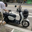 수정-110 이미지