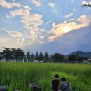 세천늪근린공원 | 대구 아이와 곤충 채집 개구리 관찰, 작지만 알찬 세천늪근린공원 (세천공원)