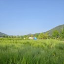 맑은물사업소 2 이미지