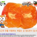 정호진농장 이미지