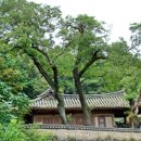 아름다운 효심 이미지