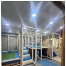 세아유치원 이미지