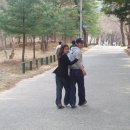 호두정 Daum카페
