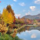 푸른수목원 이미지