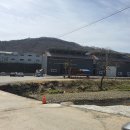 수동 종점 공인중개사사무소 | 영남부동산 화도 수동 창고 공장 임대 매매 전문 상담 후기