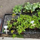 장유농약종묘사 이미지