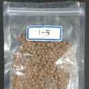 유통복어 이미지