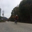 일요라이딩 후기(11/1일) - 염티재, 피반령