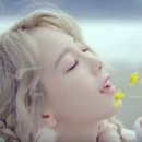 디바헤어 이미지