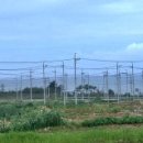 용정굴다리~북평중학교 이미지