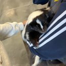 메르시동물병원 | 양산 가볼만한곳 와우쥬 실내동물원 | 동물 무서운 엄마도 끝까지 있었던 이유