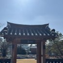 [내돈내산] 애견동반 가능한 강릉 초당 한옥 카페 ‘목과원’