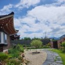 달그림고운 이미지