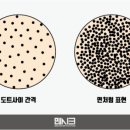 맨시크 이미지
