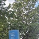 국민체력센터의원 이미지